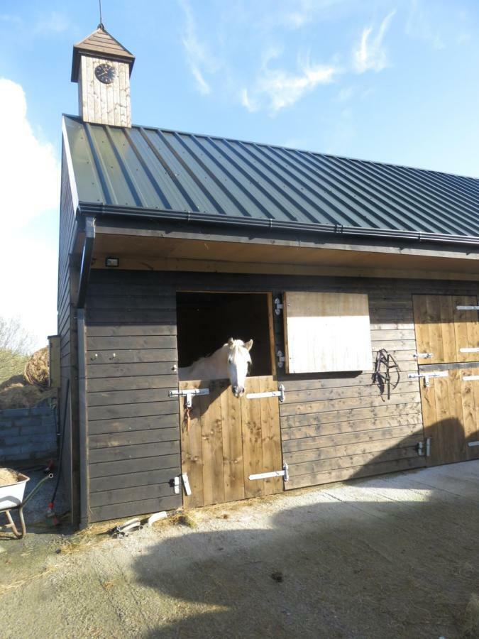 Letterfrack Farmhouse On Equestrian Farm In Letterfrack Beside Connemara National Park Tullywee Bridge Dış mekan fotoğraf